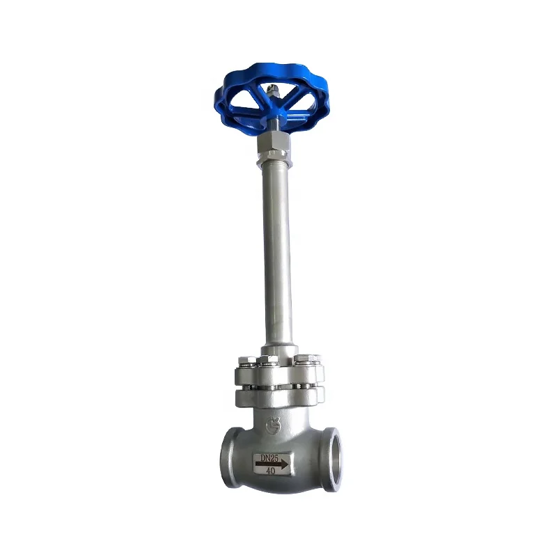 cryogenic long shaft globe valve with good sealing performance