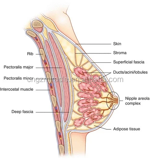 Breast-Enlargement-7