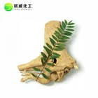 バルク Tongkat アリルート PE 天然 Eurycoma longifolia エキス末