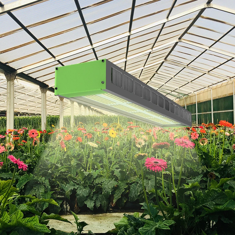 Thousand watt powerful  Medical Plants indoor growing supplies led grow lights for greenhouse plants cultivation