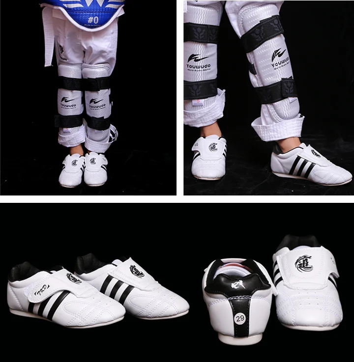 taekwondo shoes.png