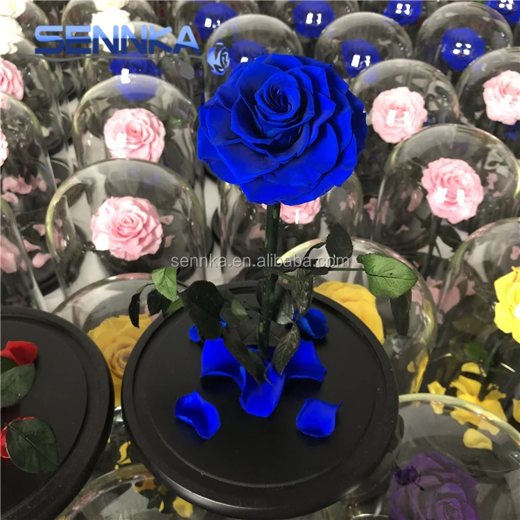 preserved flower in glass