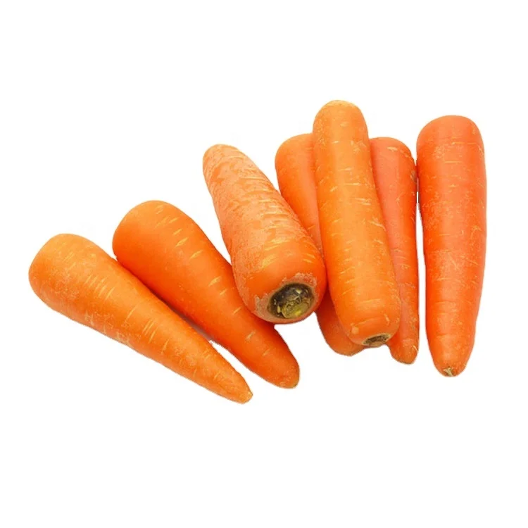bulk new harvest fresh carrot with low price red healthy carrots