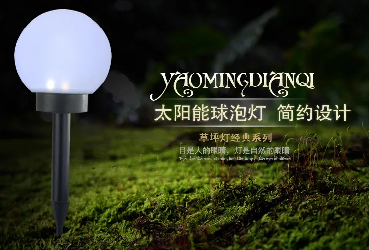 solar stake light.jpg