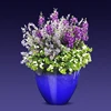 Garden Double Colour Hydroponic Plastic Soft Fower Pots In Chinese Low Price