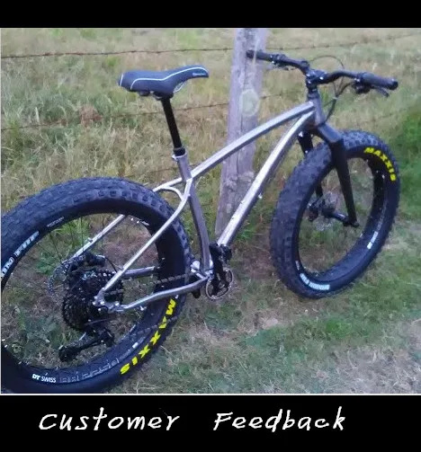 titanium fat bike