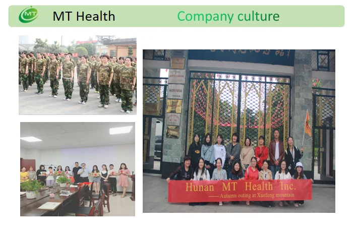 Company culture MT1.png