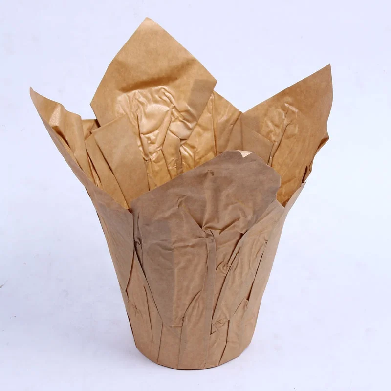 Naturer Kraft Paper Plant Pot Cover - Buy Plant Pot Cover,Paper Flower ...