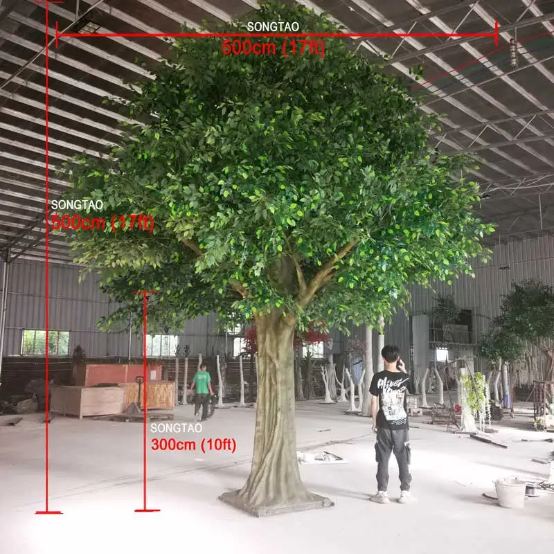 banyan trees