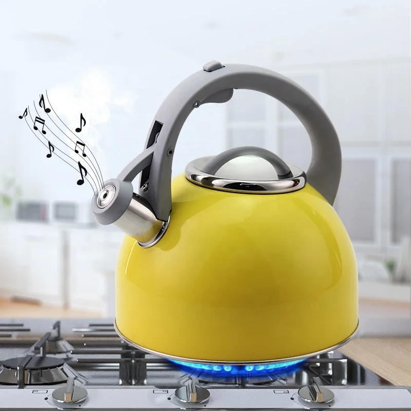 Hausroland Factory Wholesale Stovetop Teapot Kitchen Stainless Steel