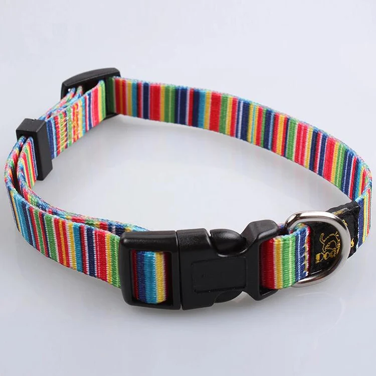 Pet Collar-41