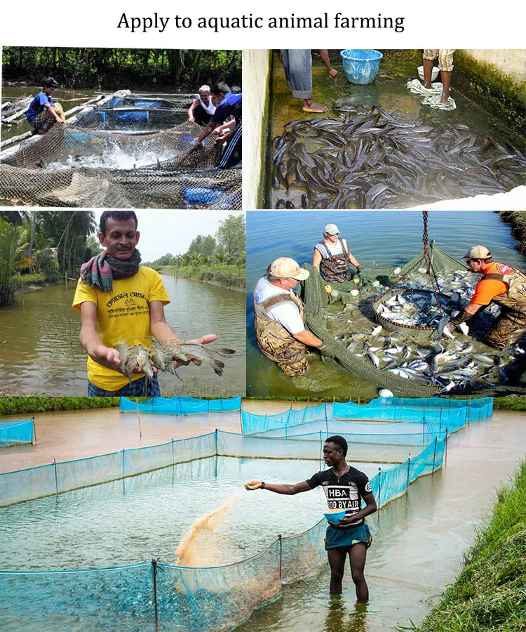 fish farming