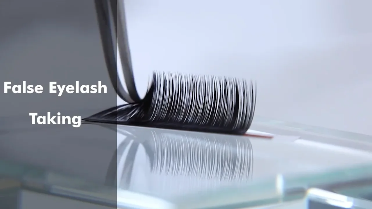 free-sample-c-cc-d-dd-curl-0-07-mm-thickness-mix-length-korea-pbt-fibre
