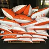 Antifungal Washing Powder Detergent Powder Per Ton Deep Cleaning Laundry Liquid Detergent
