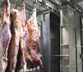 carcass washer 009_.jpg