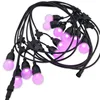WiFi smart color changing flicker flame starburst christmas lighting led string light