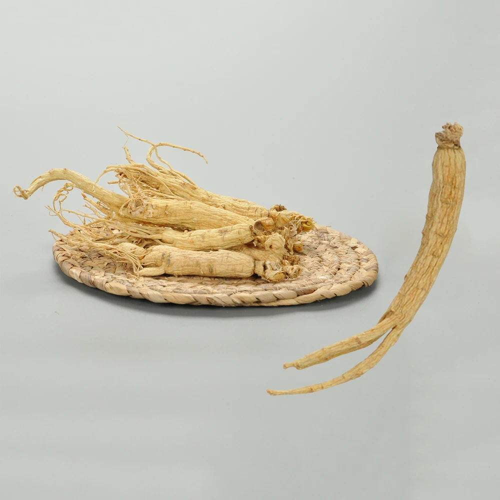 
Chinese Natural Wild Plant Dried White Ginseng Root 