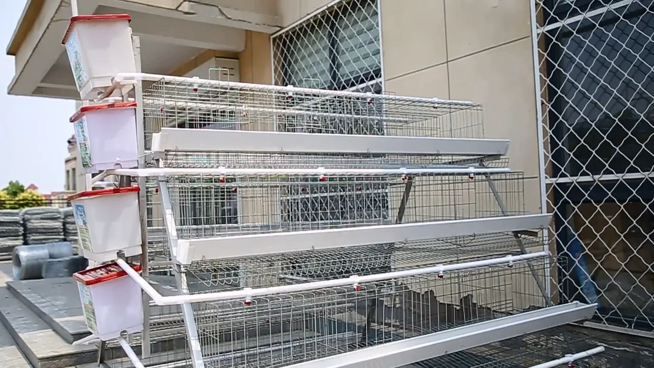 3 Tiers 96 Birds Automated Watering System Layer Checken Cages Poultry