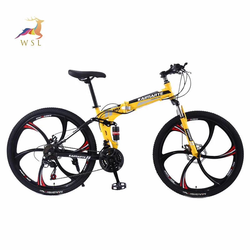 folding bike (1).JPG