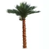China decorative palm tree artificial outdoor coconut palm trees coconut tree climbing device for outdoors decoration