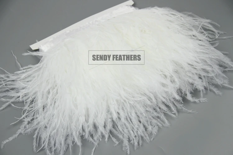 Fringe_Ostrich_7501.jpg