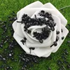 Wholesale Hot Selling Factory New Arrival Square 51mm Golden Metal Brads Various Craft Fabric Brad