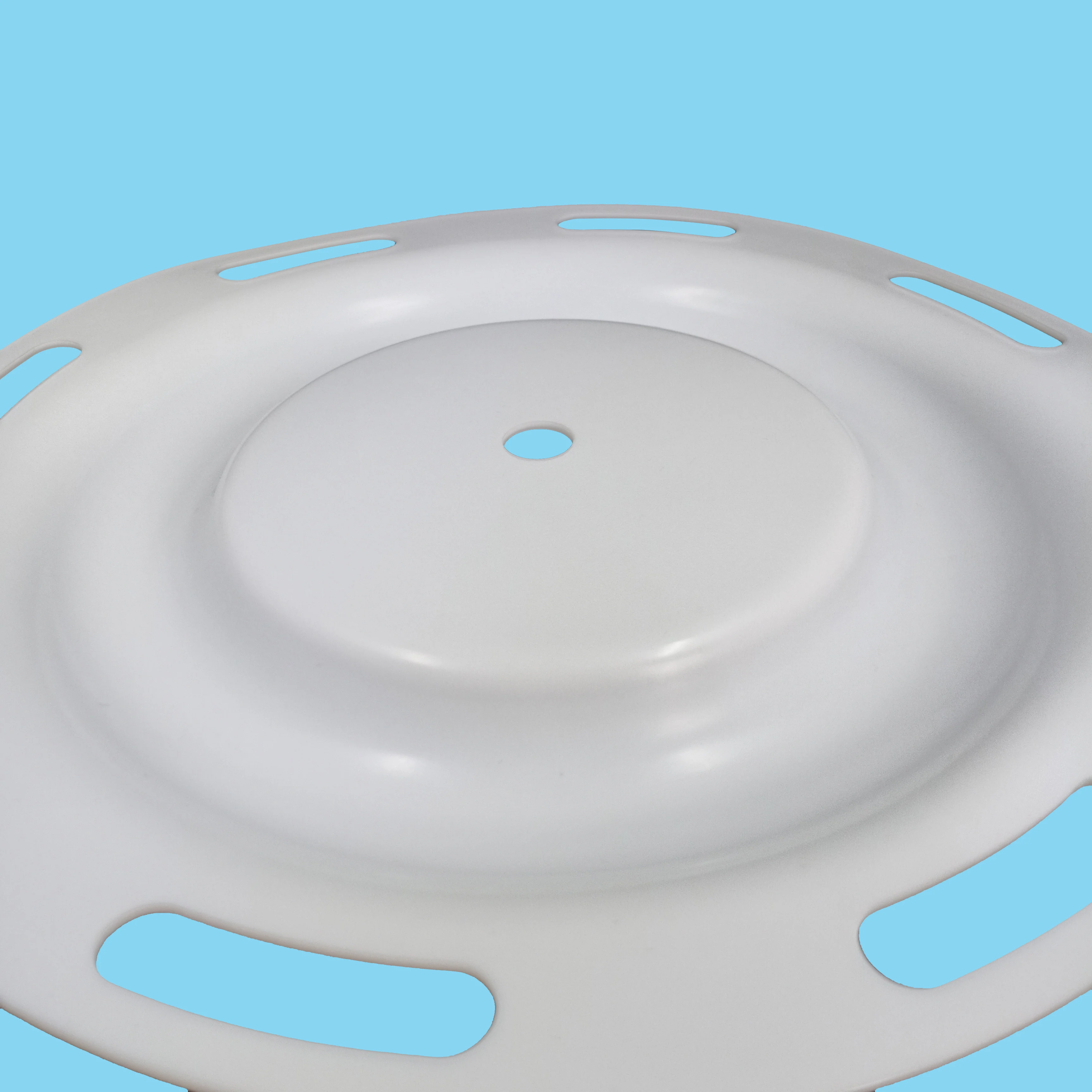 CF286-119-600 PTFE Diaphragm details