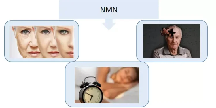 paste-pic-dp_uuid_x16u8