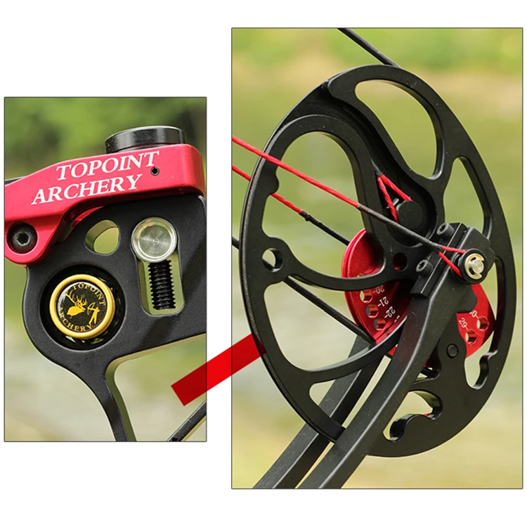 Outdoor Hunting Shooting Compound Bow Archery Adjustable 70lbs