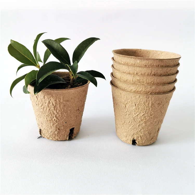 Compostable Pulp Seedling Flower Pot Seeding Cup Starting Slurry
