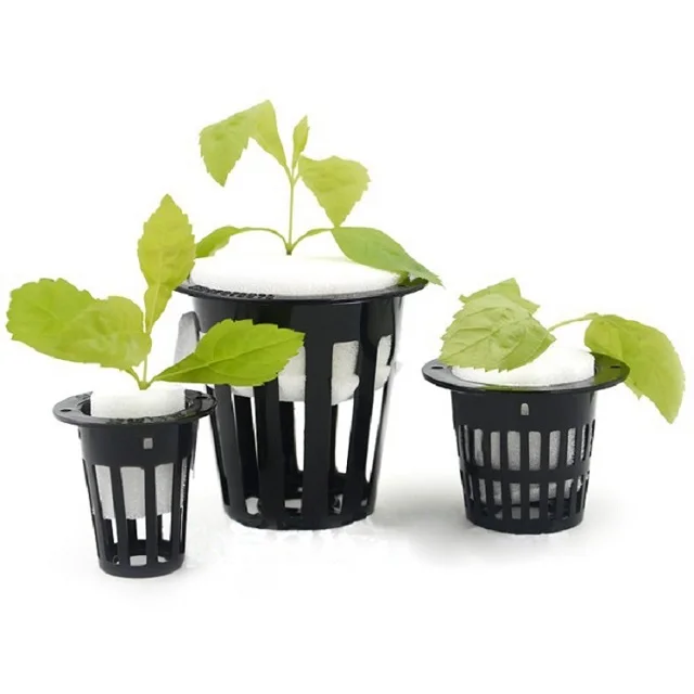 50 Seedling Sponge Mesh Cup Hydroponics System Plant Cult J8K3 50 Nursery Pots 