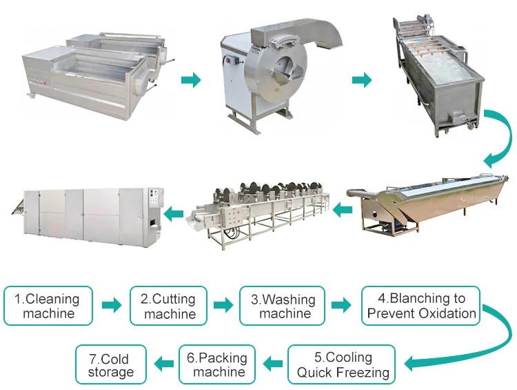 Industrial Fruit And Vegetable Sorting Washing Cutting Cooling