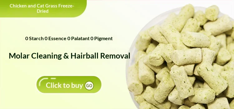 Freeze-dried Cat Snack with Chicken Duck Salmon Main Ingredients Shandong Origin supplier