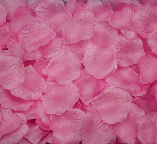 rose petal-11.jpg