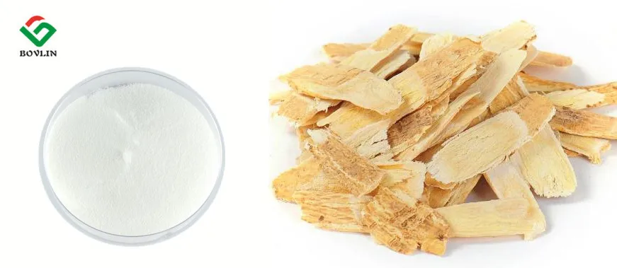 Astragalus  Extract.jpg