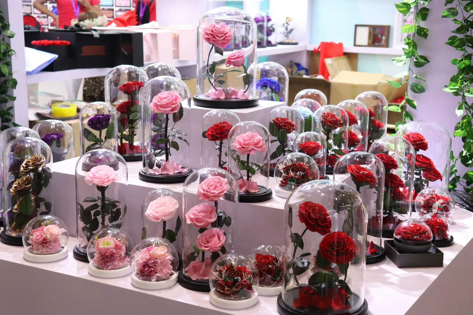 Factory Supply Real Eternal Flower Rose Preserved Roses Glass Dome With Base Buy Glass Dome