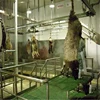 Factory price sheep goat slaughtering machine/ lamb killing machinery