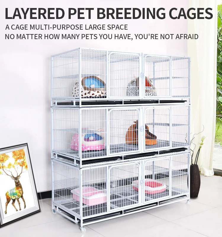 cat cage (1).jpg