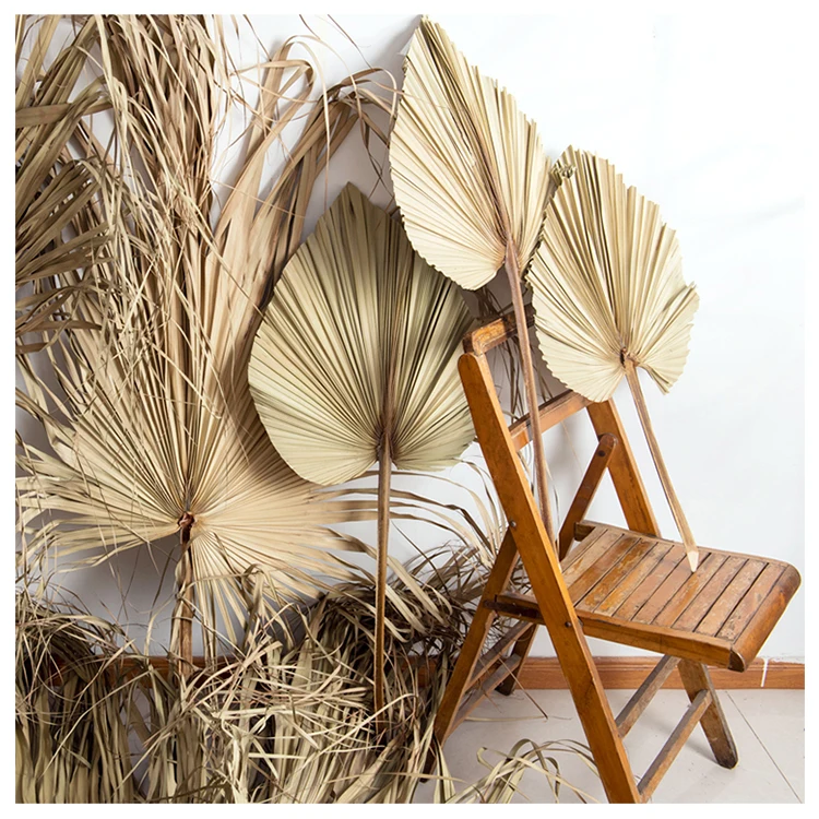 Wedding Decor Amazon Dried Palm Leaves & Palm Tree Leaves For Wedding