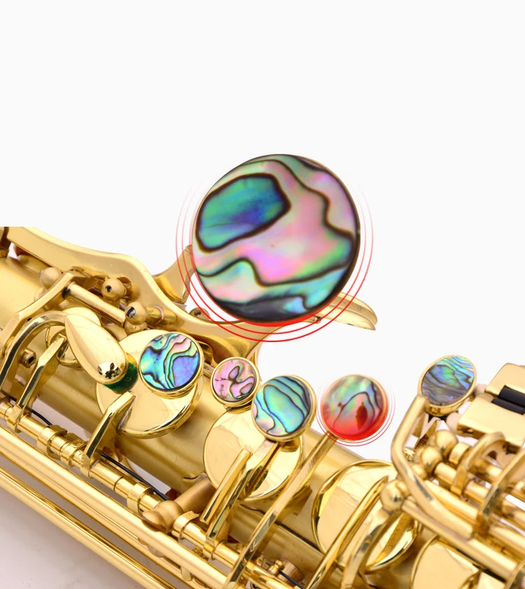 Gold Lacquer Brass Alto Instrument Accessories Professional Eb  China Sax Saxophone Alto