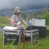 Successfully found physical exploration instruments for gold mines in Brazil, accurate data, on-site mapping