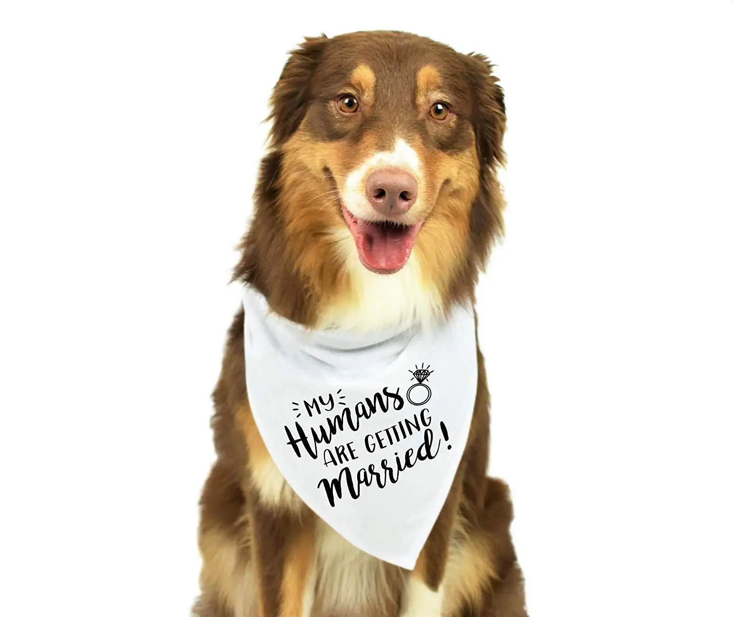My Humans are Getting Married Dog Bandana for Medium to Large Dogs Wedding Pet Bandana Triangle Bibs Scarf Accessories