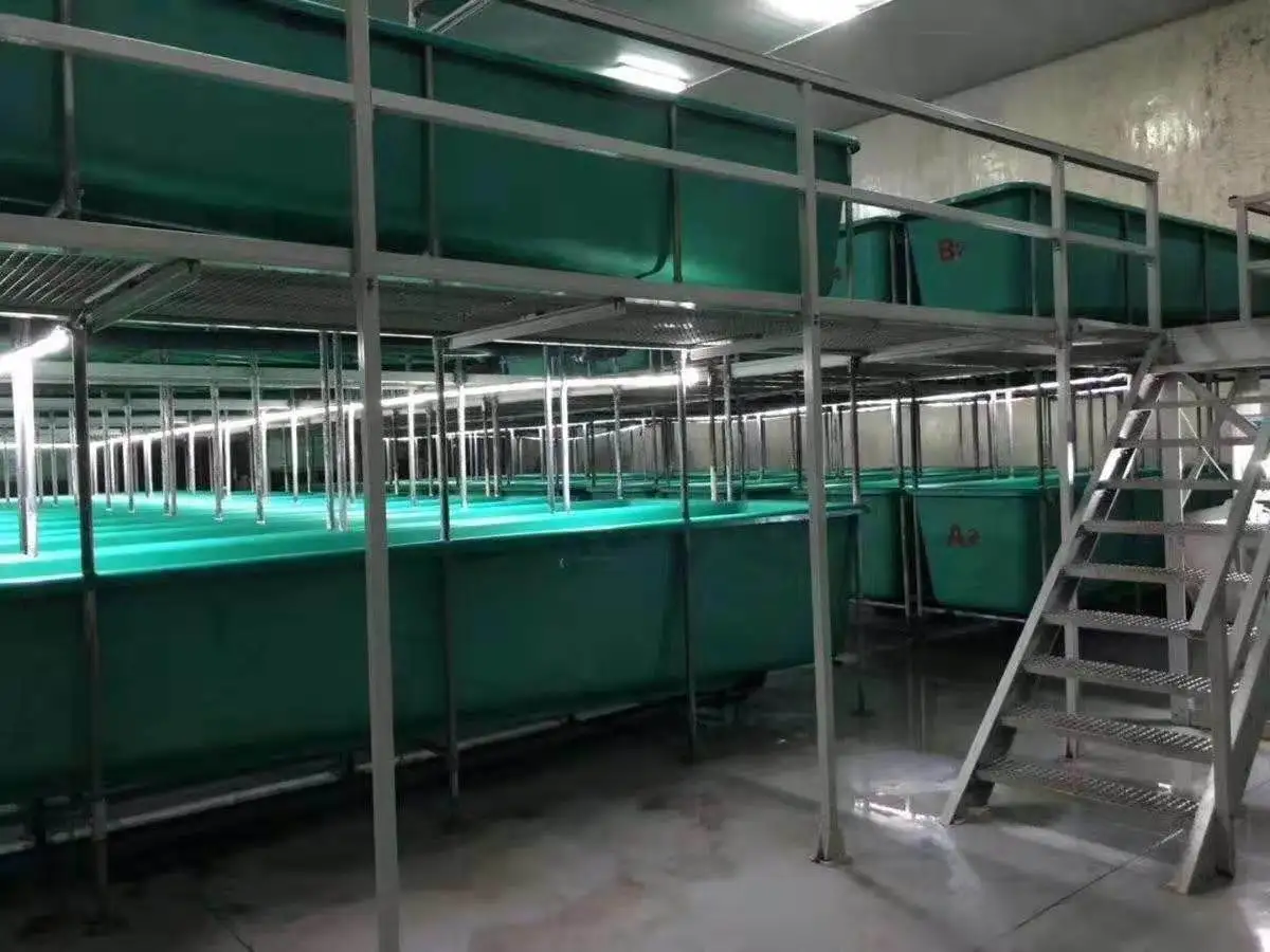 Fiberglass Hatchery Tank Fiberglass Fish Tank For Indoor Fish Farm