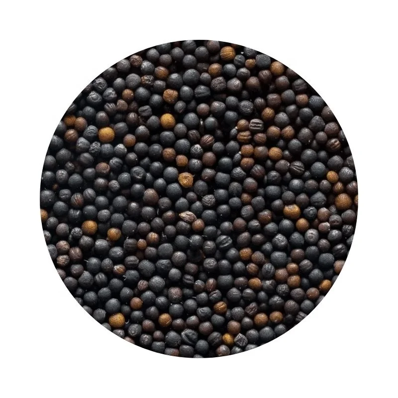 
Wholesale organic russian rape seeds 