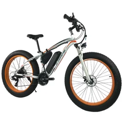 EB17 fat tyre electric bikes for men electric bicycle green power 48v 500W 1000W snow bike electric bicycle
