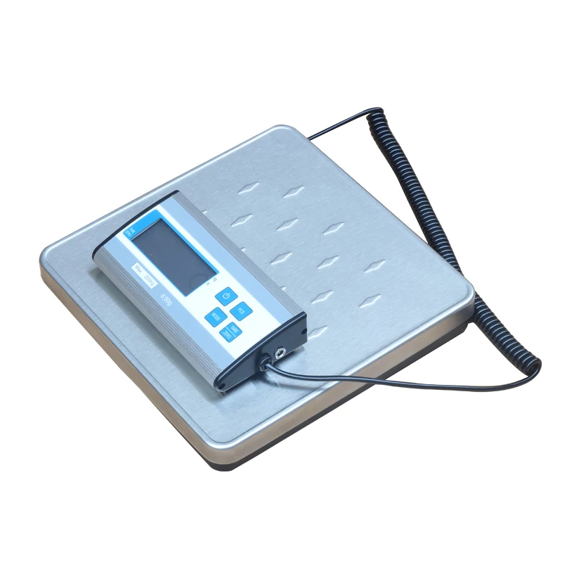 200kg Stainless Steel Digital Remote Display Electronic Shipping Scale