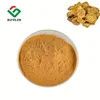 Wholesale Price Rhubarb P.E. Rhubarb Extract Powder Anthraquinone in Bulk