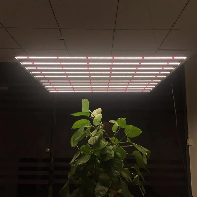 3000K 6000K indoor vertical farming 800w 1000w 10 bar plant light Samsung 301b 301h grow lamp led full spectrum grow lights