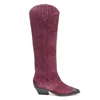 2019 Stylish West Ladies Footwear Plush Winter Boot Fashion Pointed Toe wooden Heel Long Knee Boots Ladies