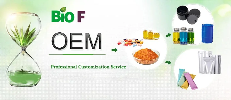 진코 빌로바 추출물 플라보노이드 테르펜 락톤 분말 건강 관리 등급 노란색 갈색 3